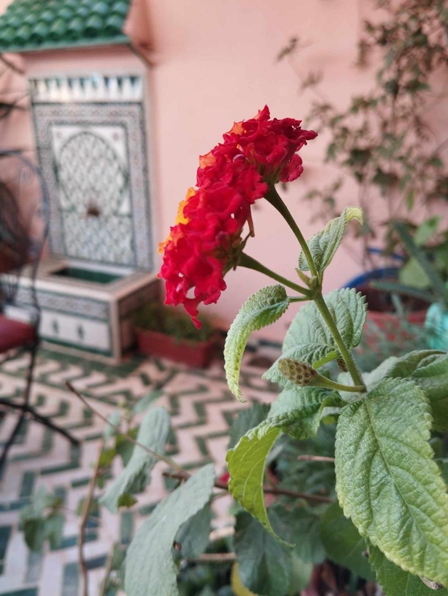 Dar Lantana Hotel Fes Luaran gambar